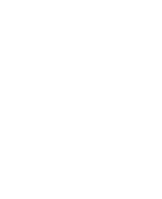 Professional Life Network PLN